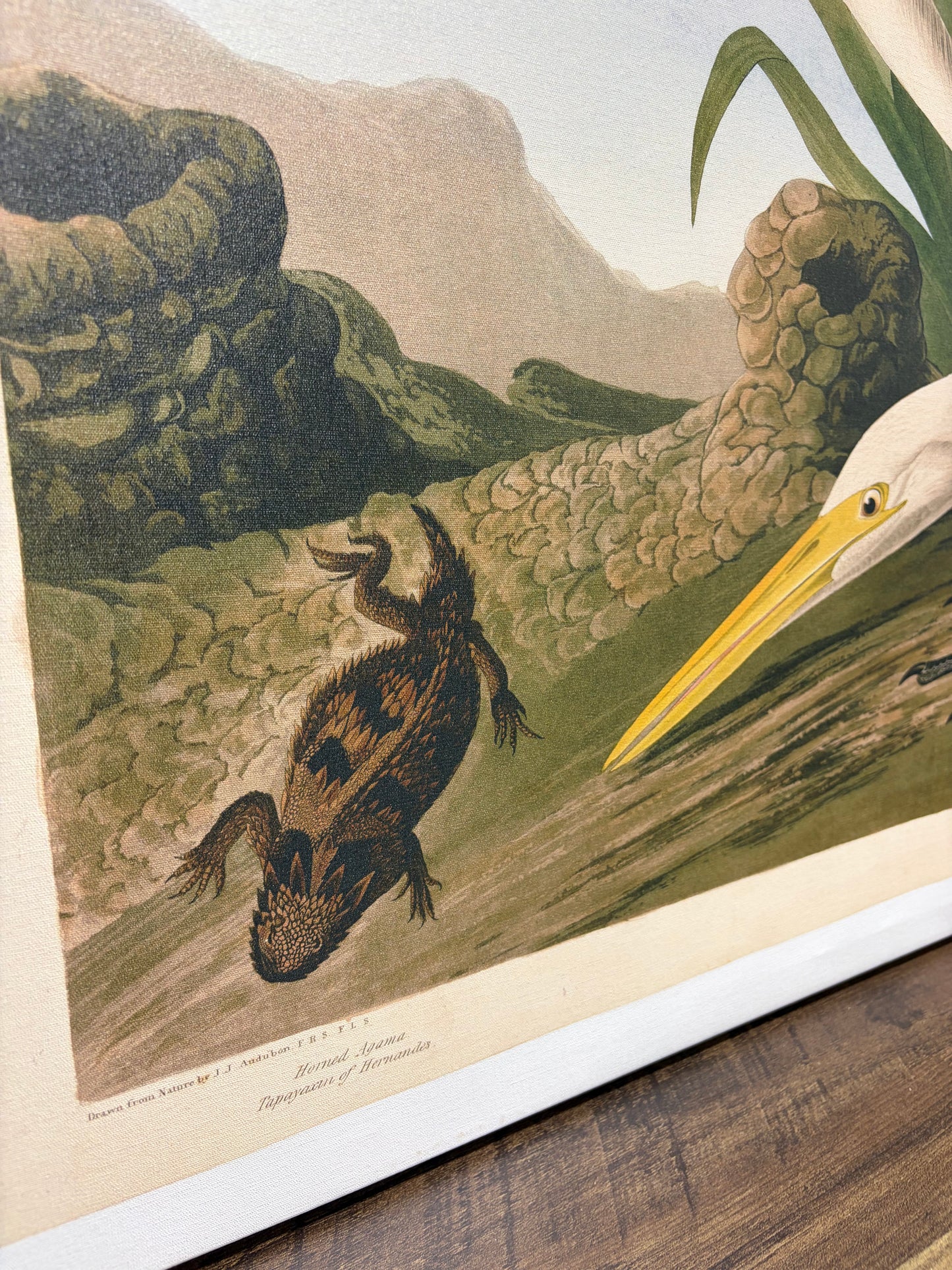 Canvas Art - 30” x 47” John James Audubon 'White Heron' Canvas Art