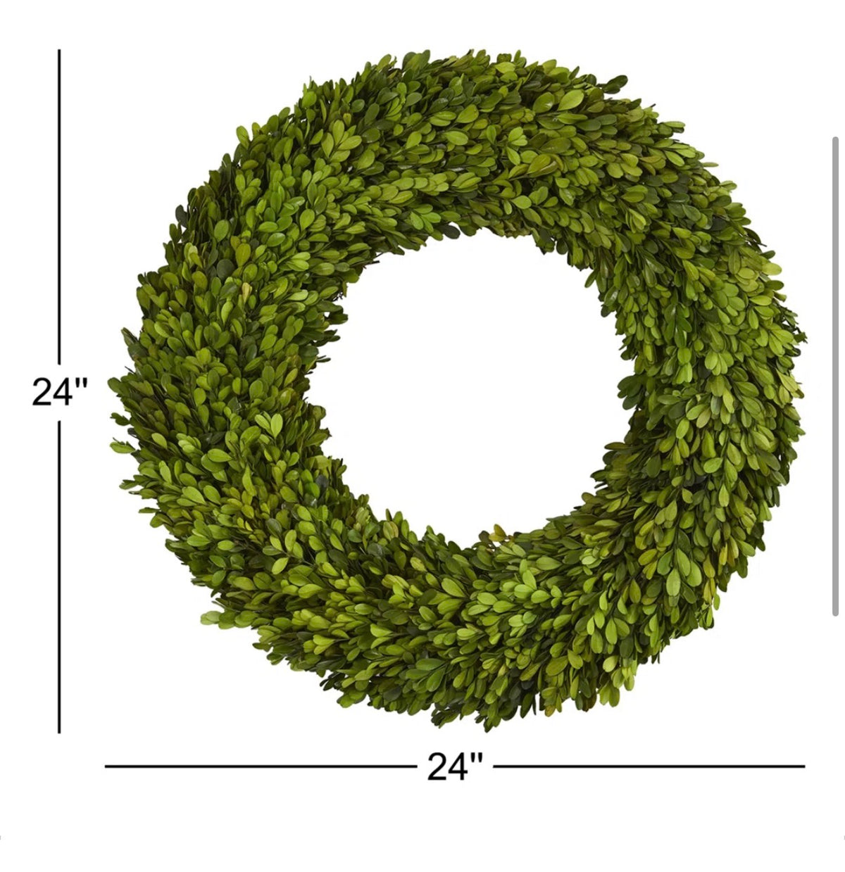 Wreath - 24" Preserved Boxwood Real Greenery Wreath