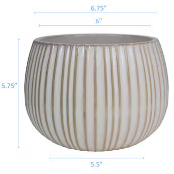 Ceramic Pot - Allen & Roth 8in Crinkle Pot Cream