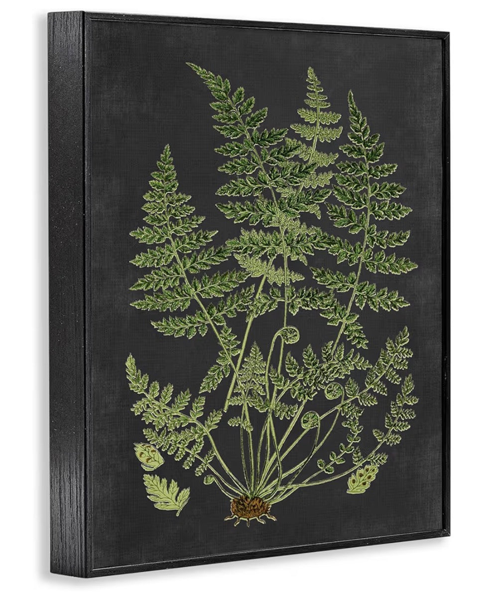 Framed Art - 11” x 14” Stupell Industries Botanical Drawing Green Black Design Canvas
