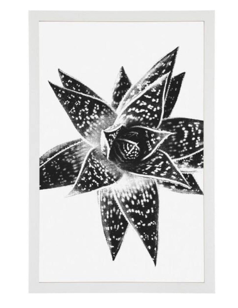 Frame - 12 x 18 White Frame