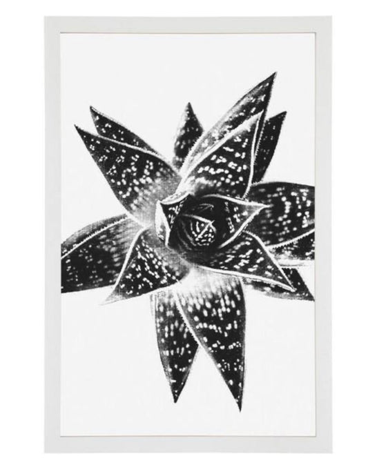 Frame - 12 x 18 White Frame