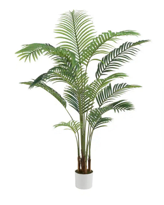 Faux Plant 6ft Areca Palm - HD