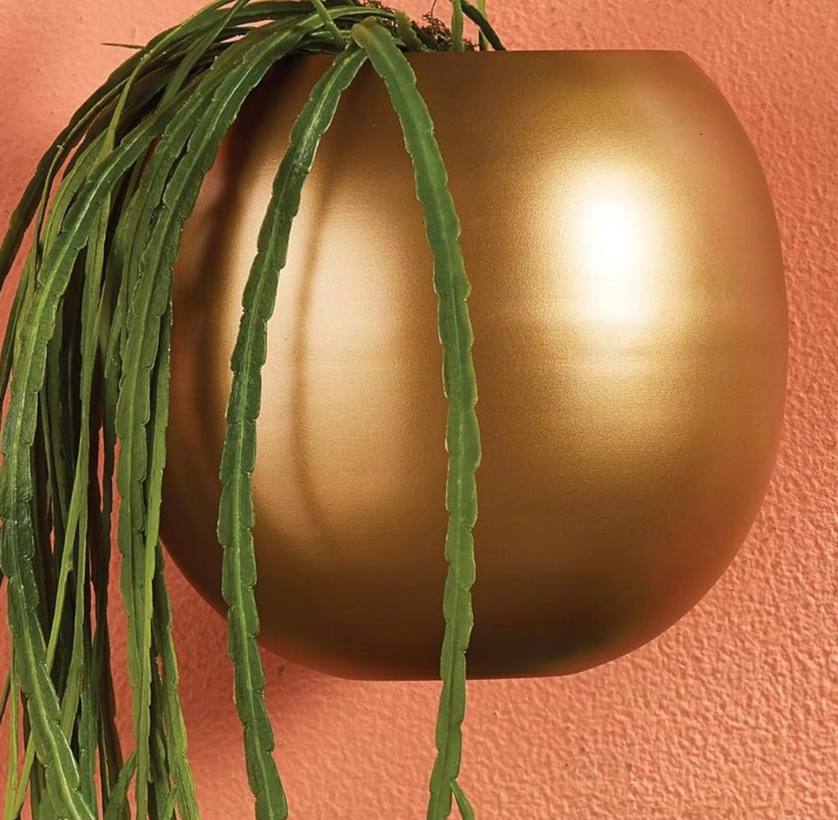 Home Decor - Napa Home & Garden Percy Wall Cachepot 10 x 10.5 x 8.75 Gold