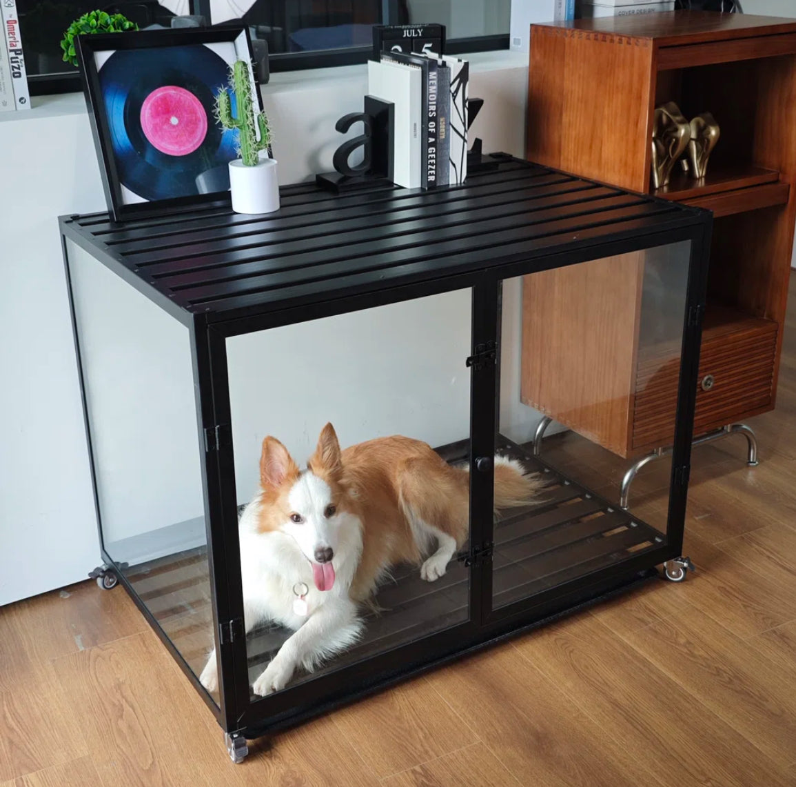 Pet - Dog Crate Innovated Tempered Glass XL - T&F5.19.25