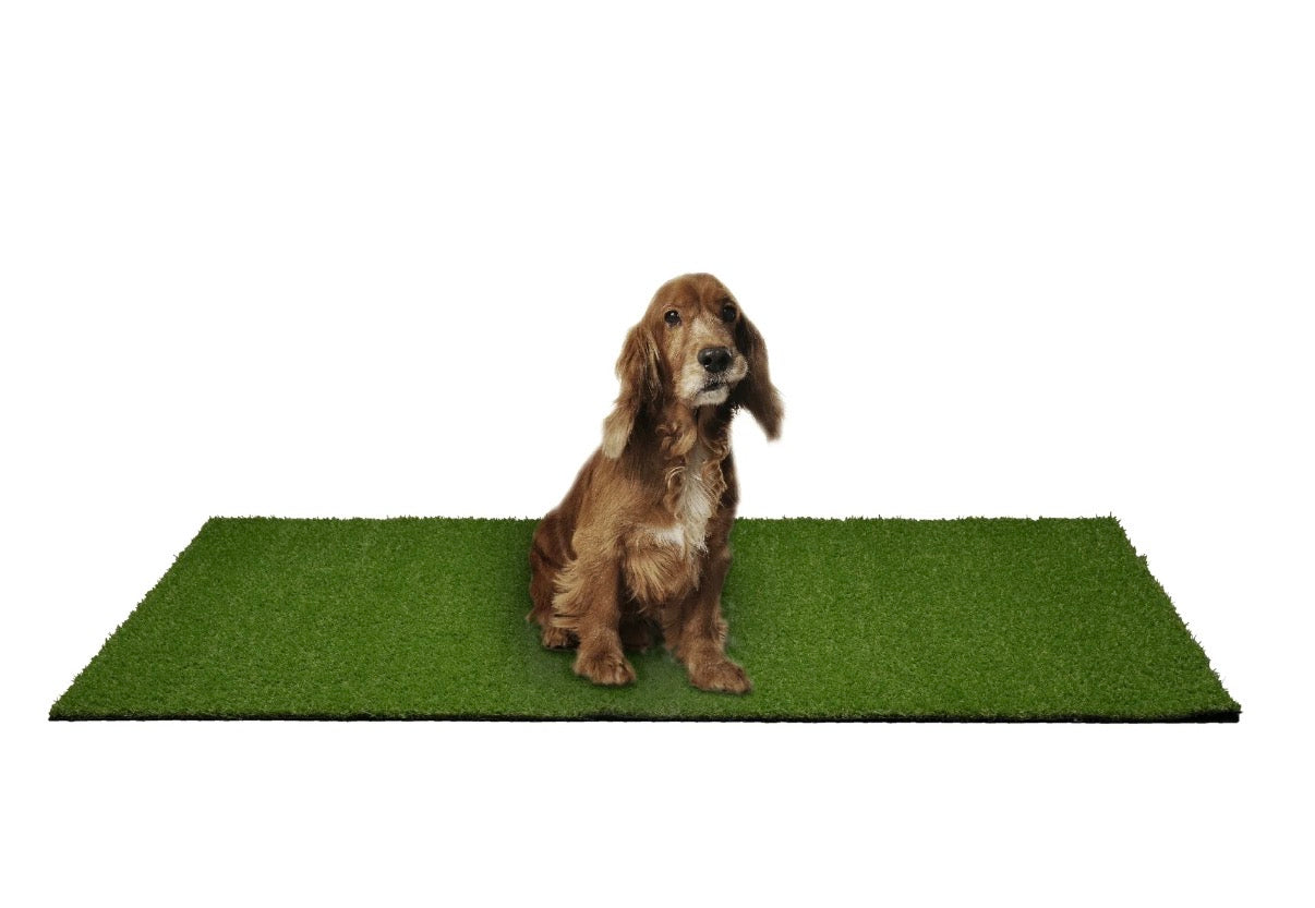 Puppy Pee Pad - Garland Puppy Pee Pad 3 ft. x 4 ft. Easy Clean with Drainage Holes, Non-Toxic Realistic Artificial Grass Turf