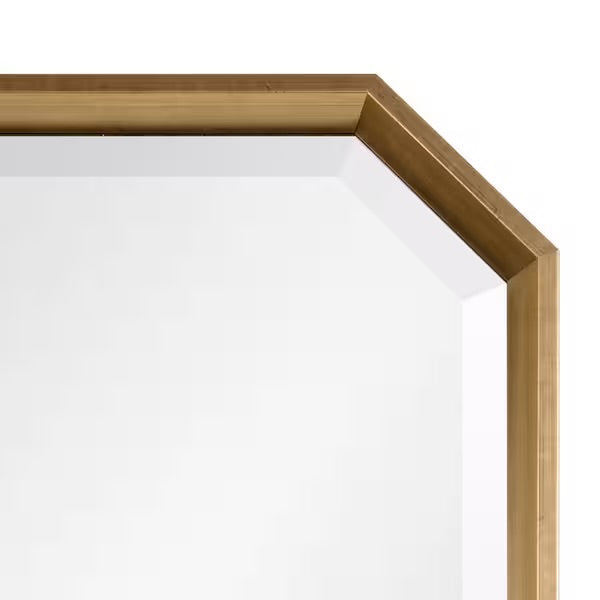 Mirror - Calter 48 in. x 17 in. Classic Octagon Framed Gold Wall Accent Mirror