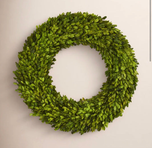Wreath - 24" Preserved Boxwood Real Greenery Wreath