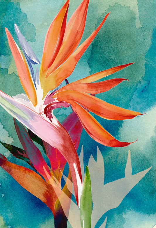 Canvas - 12" W x 18" H Vivid Birds of Paradise - 1.3.26