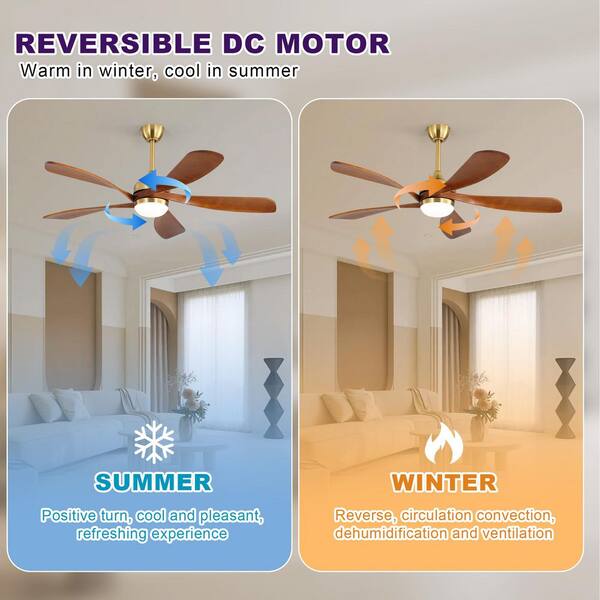 Ceiling Fan - 52 in. W in Smart Indoor Gold Color Low Profile Downrod Mounting with Color Adjustable LED with Remote