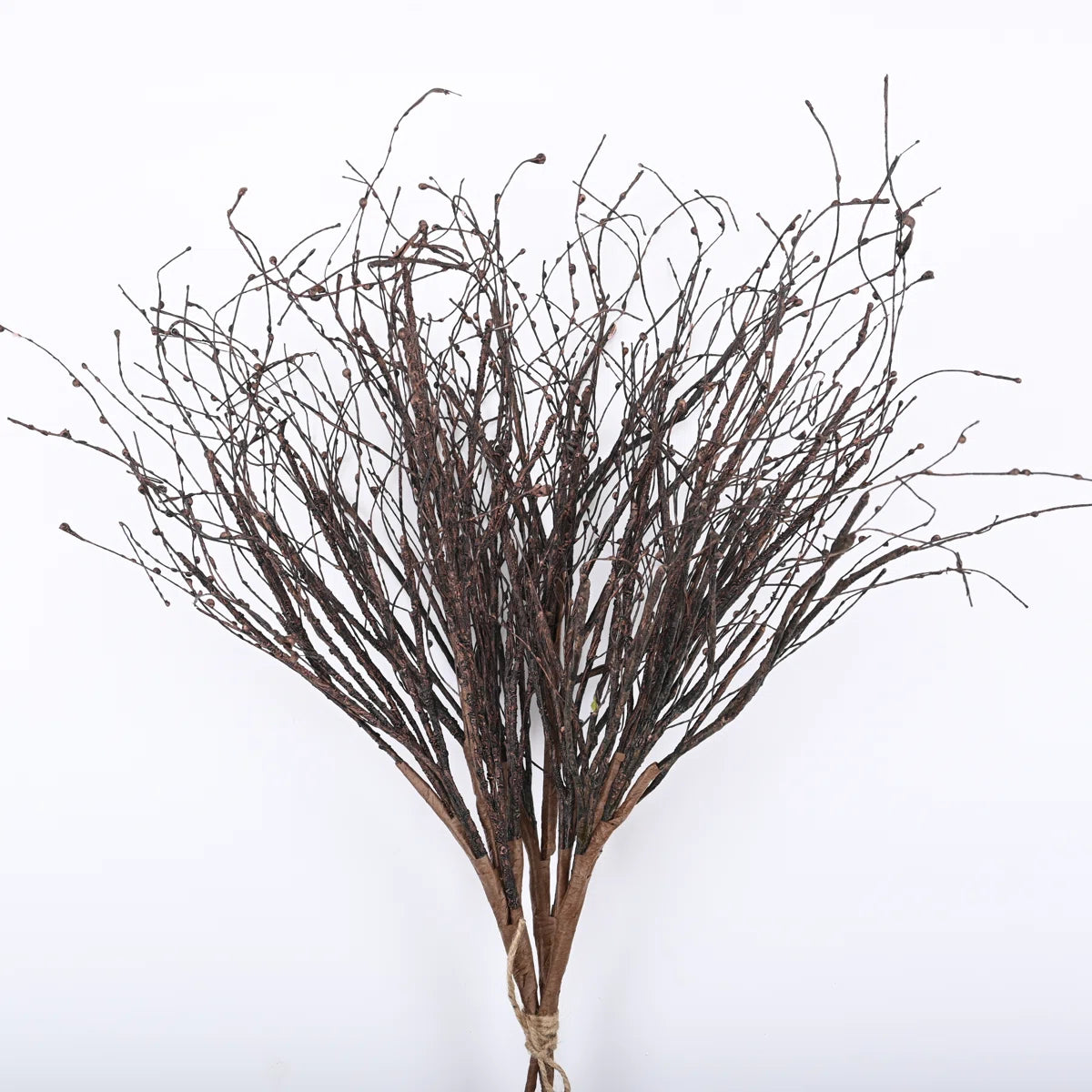 Florals - 36” Birch Twigs