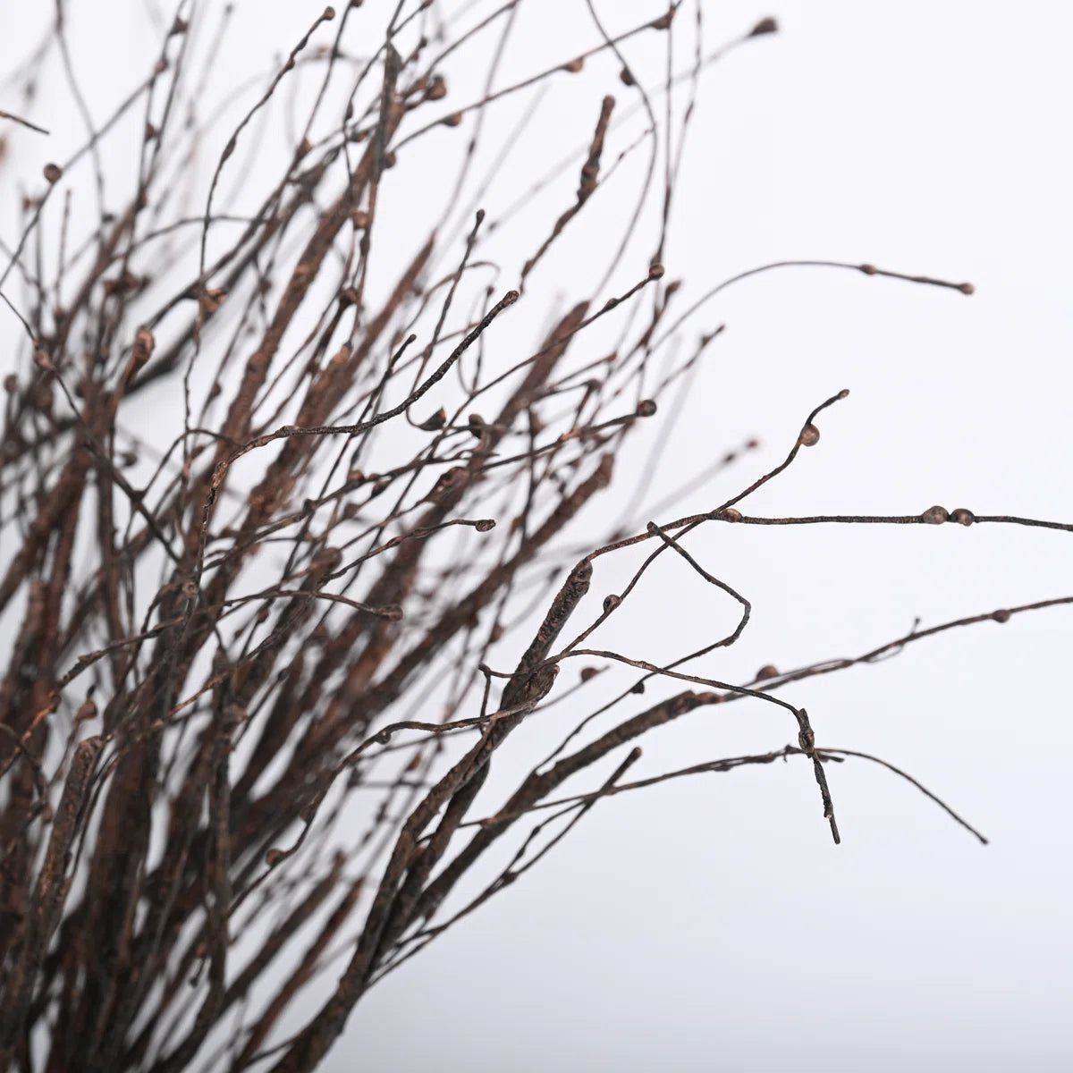 Florals - 36” Birch Twigs